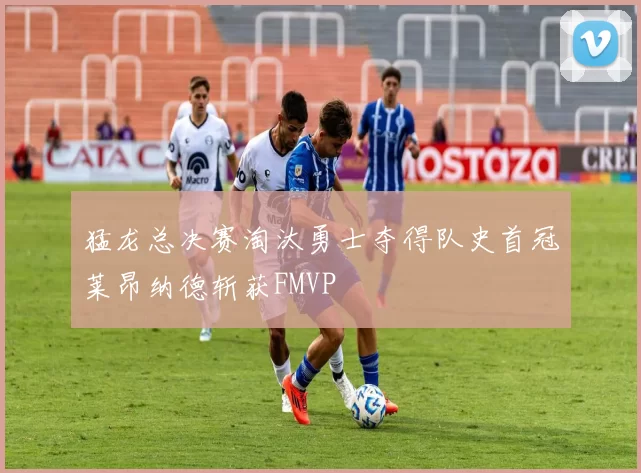 猛龙总决赛淘汰勇士夺得队史首冠莱昂纳德斩获FMVP