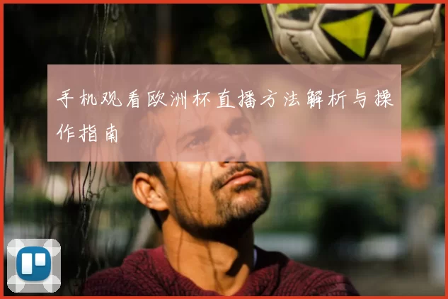 手机观看欧洲杯直播方法解析与操作指南