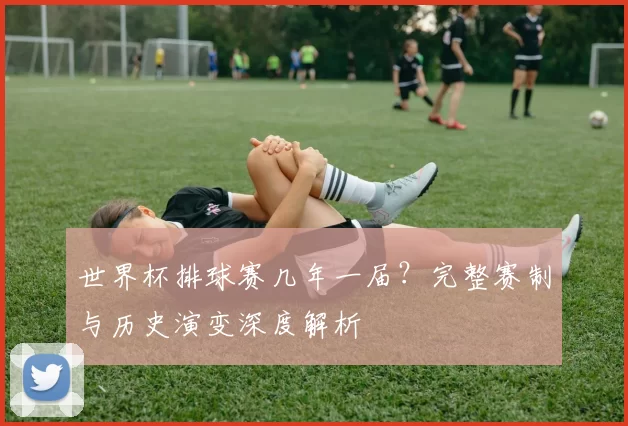 世界杯排球赛几年一届？完整赛制与历史演变深度解析