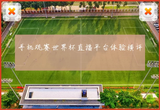 手机观赛世界杯直播平台体验横评