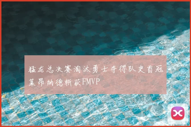 猛龙总决赛淘汰勇士夺得队史首冠莱昂纳德斩获FMVP
