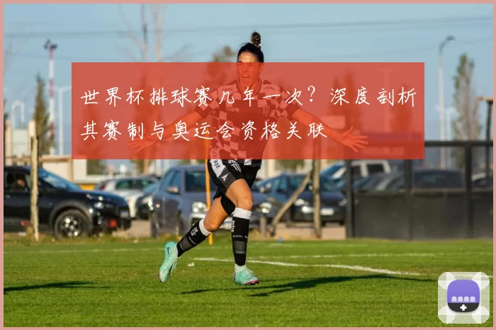世界杯排球赛几年一次?深度剖析其赛制与奥运会资格关联
