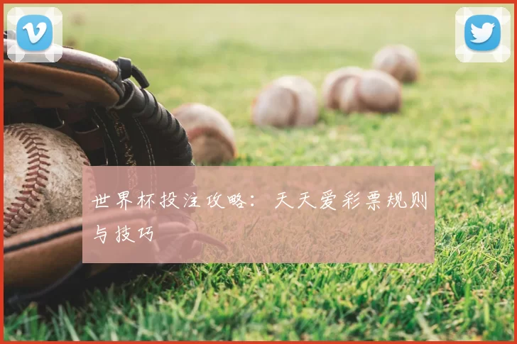 世界杯投注攻略：天天爱彩票规则与技巧