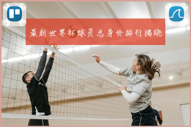 最新世界杯球员总身价排行揭晓