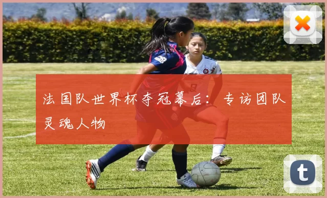 法国队世界杯夺冠幕后:专访团队灵魂人物